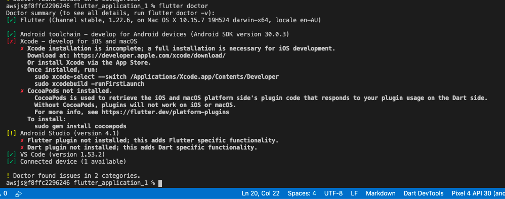 Flutter Doctor